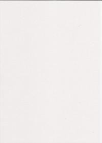 A4 HVID Snehvid karton 190g