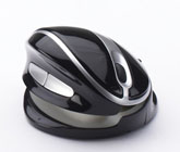 OysterMouse